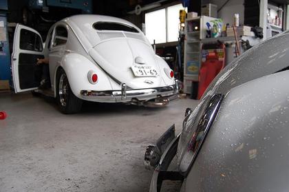 DSC_0023oval.jpg