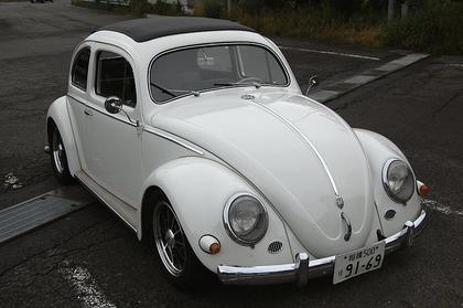 DSC_0066oval.jpg